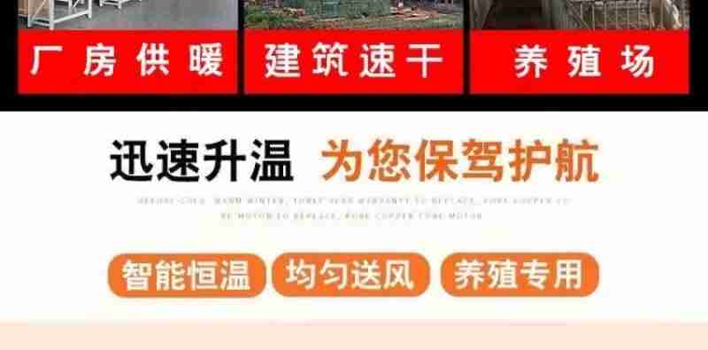 灰白相间的苍鹭幼鸟在成鸟的羽翼下休憩,而在芦苇丛下,一群鱼儿正欢快地游来游去。